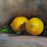 Two Lemons by Pascal Giroud