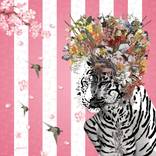 Animal Attraction: Suki by Jana Nicole
