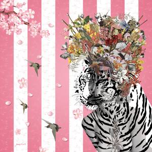 Animal Attraction: Suki