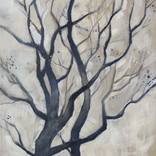 Tree Silhouette by Roger Seward