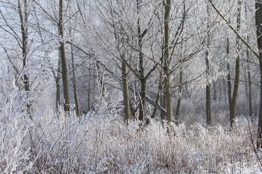 Original Photorealism Landscape Photography by Sonja Čvorović