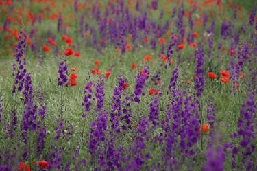 Original Impressionism Nature Photography by Sonja Čvorović