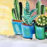 Cactus pots in summer by Tati Galiano