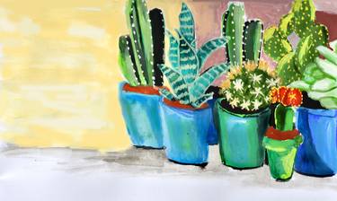 Cactus pots in summer thumb