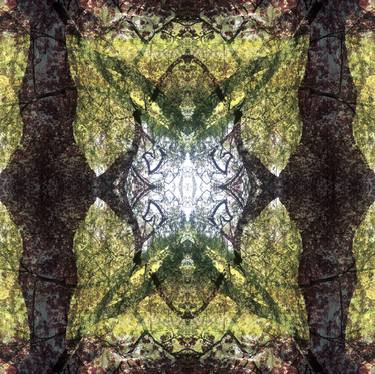 Print of Abstract Garden Photography by Naima White