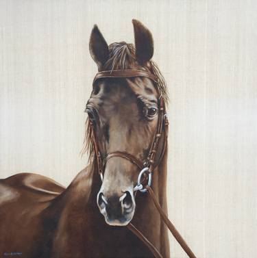 Original Horse Paintings by kelly rysavy
