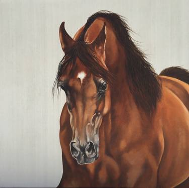 Original Horse Paintings by kelly rysavy