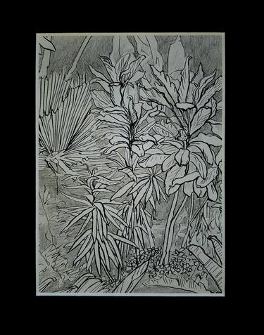 Print of Garden Drawings by Anastasiia Dashkevych