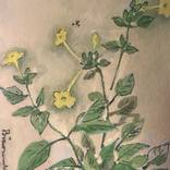 flowers by biswanath ghosh