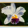 custom made white lacquer wood frame with gold trim