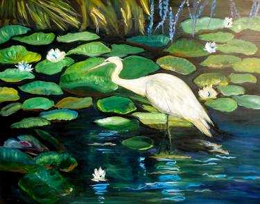 Egret and Lily Pads thumb