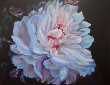 Original Floral Paintings by Jenny Jonah