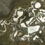 Collection 10x10: Amber Lewis's Limited Picks