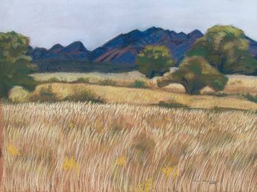 Original Impressionism Nature Drawings by Diane Fairfield