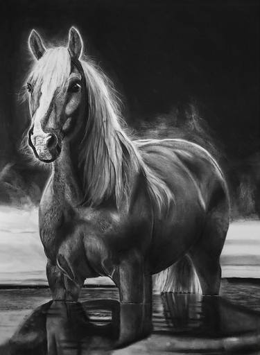 Original Realism Animal Drawings by Steeven Shaw