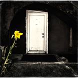 IN MEMPHIS - Limited Edition of 10 by Vladimir Kabelik