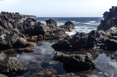 Pacific Tide Pool thumb