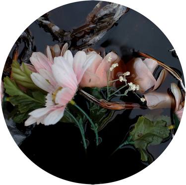 Original Fine Art Floral Photography by Kim Percy