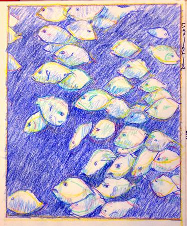 Original Expressionism Fish Drawings by Dan Freeman