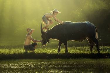 Thai children farmer was climbing Buffalo. thumb