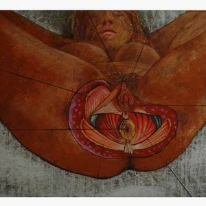 Collection Anatomical boards