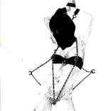 Collection VARIABLE I