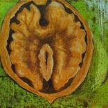 Collection CURVES- GALBES