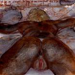 Collection Apophtegmes