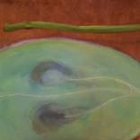 Collection CURVES- GALBES