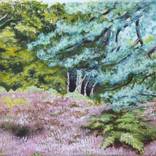 Collection Forest Scenes