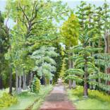 Collection Forest Scenes