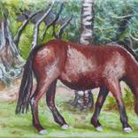 Collection Forest Scenes