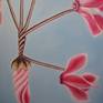 I am fascinated by the structures and colours in plants. This painting is a study of cyclamen flowers and stems. I wanted to portray its delicacy and also the intensity of the colours when observed closely