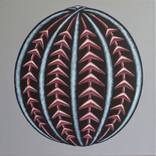 Collection Symbolism
