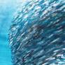 This painting is inspired by the natural phenomenon of the bait ball. Small fish swarm together in a defensive measure and create a dazzling shimmering effect. It is a small painting and the cheerful aqua colours would brighten up a wall in any room.