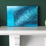 This painting is inspired by the natural phenomenon of the bait ball. Small fish swarm together in a defensive measure and create a dazzling shimmering effect. It is a small painting and the cheerful aqua colours would brighten up a wall in any room.