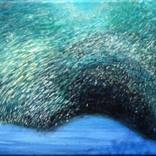 Collection Underwater Artwork