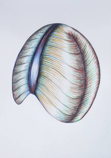 Coloured Pencil Drawing Saatchi Art