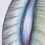 This drawing was inspired by the movement of the lungs and ribcage as they expand and contract to enable us to take in the oxygen we need