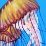I was inspired to do this painting by the elegant and ghostly form of the Jellyfish. I think that the round canvas further enhances the soft and billowy bodies of these Pacific Sea Nettle Jellyfish.