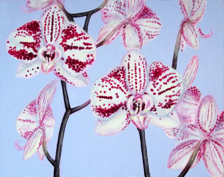 Print of Realism Botanic Paintings by Jacqueline Talbot