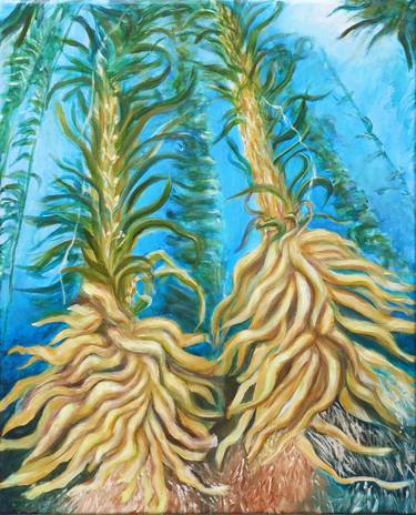 Giant Bladder Kelp Holdfasts thumb