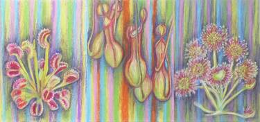 Original Abstract Botanic Drawings by Jacqueline Talbot