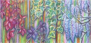 Original Expressionism Botanic Drawings by Jacqueline Talbot