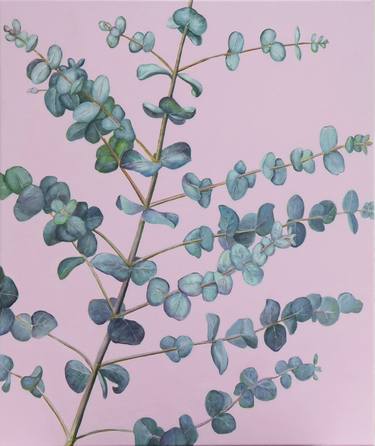 Original Botanic Paintings by Jacqueline Talbot