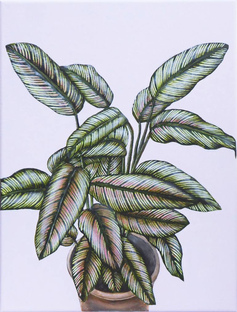 Calathea White Star Painting By Jacqueline Talbot Saatchi Art