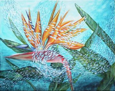 Original Nature Paintings by Jacqueline Talbot