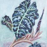 Collection Botanical Art