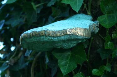 3 bronze 'tinder fungi' thumb