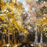 Woodland View by Belinda Reynell